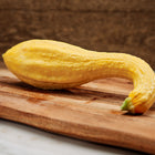 Bright yellow Early Golden Crookneck summer squash resting on a wooden cutting board.