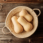 Three Waltham Butternut squash in a woven basket on a rustic wooden surface.