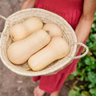 Person in a red dress holding a woven basket filled with harvested Waltham Butternut squash in a garden.