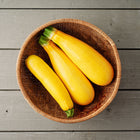 Three bright yellow Golden Zucchini squash in a round woven basket on a grey wooden surface.