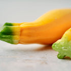 Close-up of two bright yellow Golden Zucchini squash with green stems resting on a light surface.