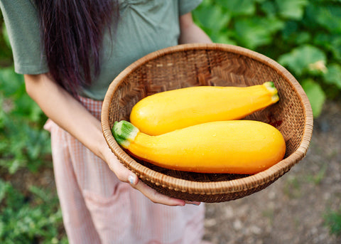 Heirloom Seeds_Golden Zucchini Summer Squash_Bucktown Seed Company-03
