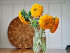 Teddy Bear sunflowers with fluffy golden double blooms in a glass mason jar on a wooden table.