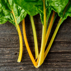 Oriole Orange Swiss chard with glossy green leaves and vibrant orange stems resting on a rustic dark wood surface.