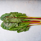 Heirloom Seeds_Swiss Chard Rainbow Mix_Bucktown Seed Company-01