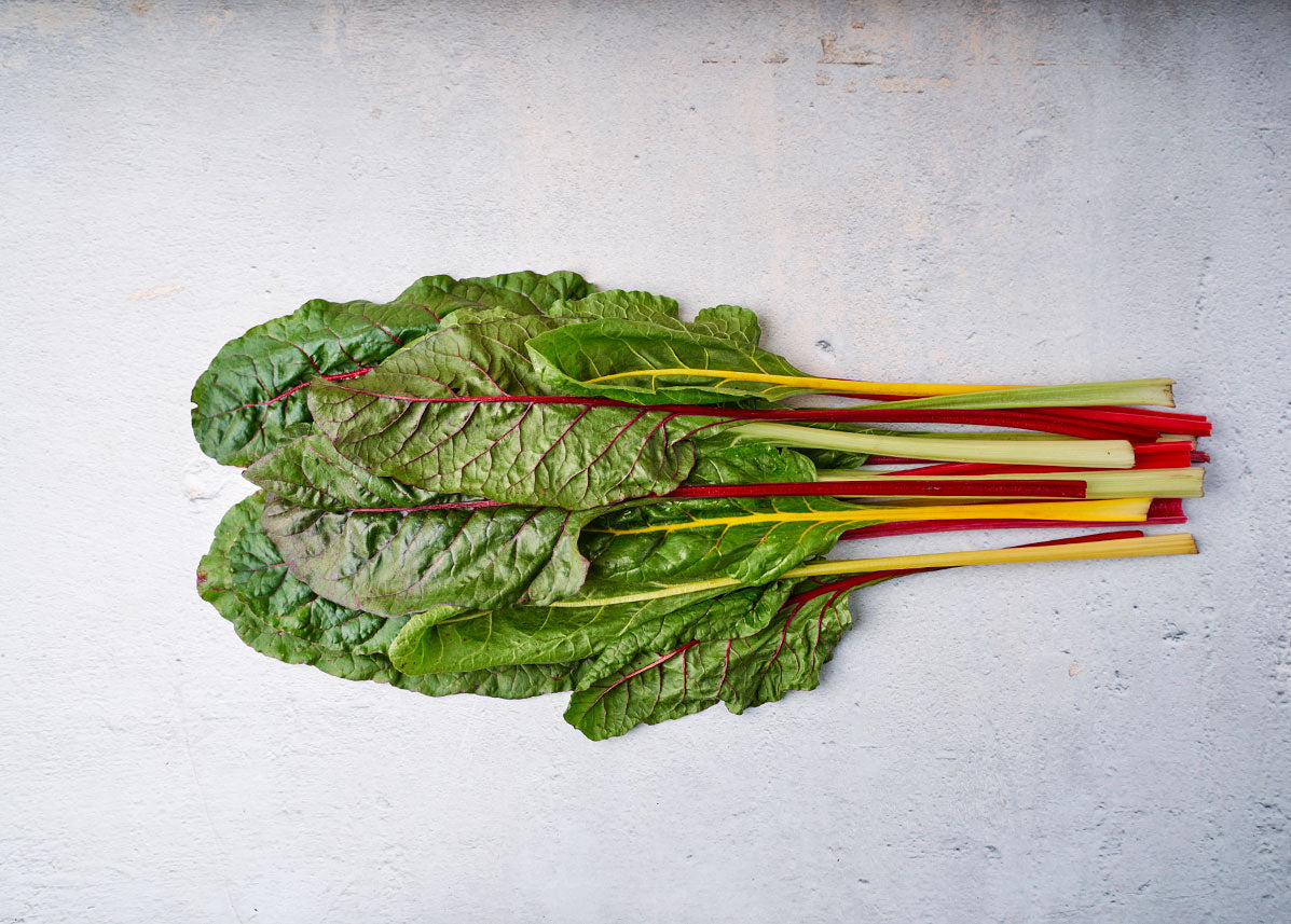 Heirloom Seeds_Swiss Chard Rainbow Mix_Bucktown Seed Company-01