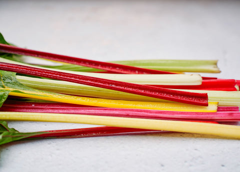Heirloom Seeds_Swiss Chard Rainbow Mix_Bucktown Seed Company-04
