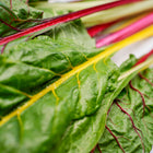 Rainbow Mix Swiss chard leaves with vibrant red, yellow, and orange stems.