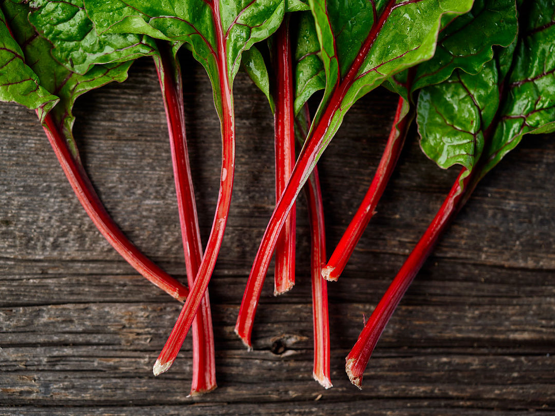 Ruby Red - Organic Heirloom Swiss Chard Seeds – Bucktown Seed Company