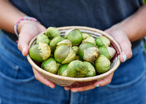 Heirloom Seeds_Tomatillo Purple_Bucktown Seed Company-04