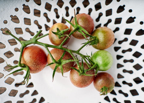 Heirloom Tomato Seed - Black Cherry Tomato - Bucktown Seed Company_06