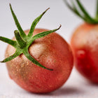 Two dusky purple-brown Black Cherry tomatoes with green stems and water droplets on a light background.