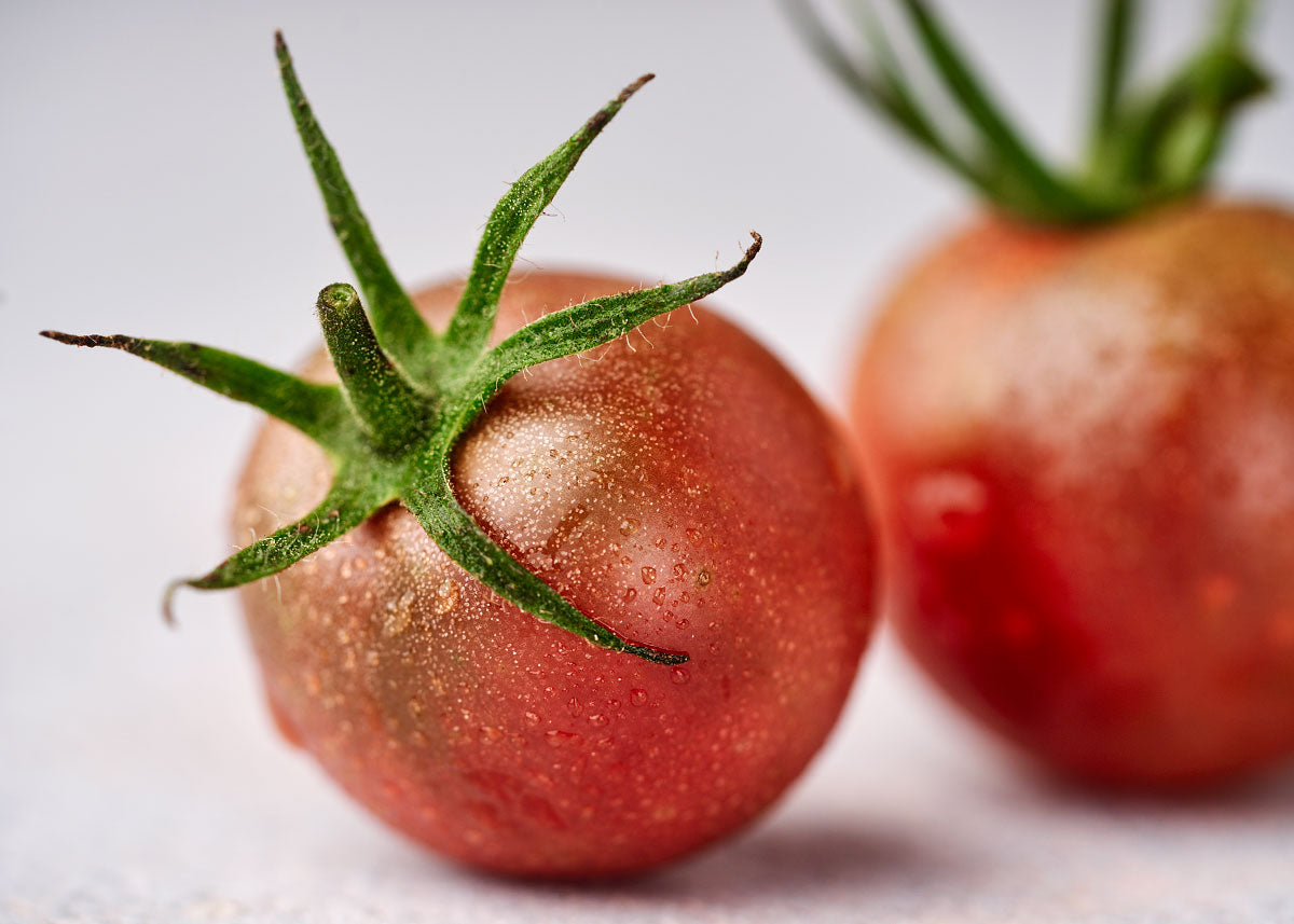 Heirloom Tomato Seed - Black Cherry Tomato - Bucktown Seed Company_05