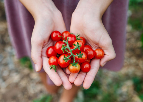 Heirloom Seeds_Tomato Chadwick Cherry_Bucktown Seed Company-01