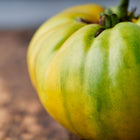 Close-up of a ripe Cherokee Green tomato with chartreuse skin and amber hues on a wooden surface.