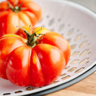 Ribbed, rosy-pink Rosa Sicilian tomatoes resting in a white metal colander.