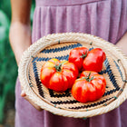 Person holding a woven basket filled with three deeply ribbed, rosy-red Rosa Sicilian tomatoes.