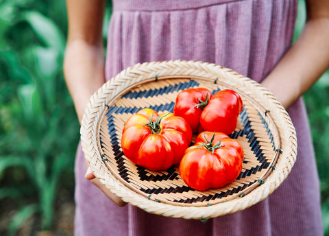 Rosa Sicilian - Tomato Seeds