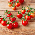 Clusters of small, bright red Matt's Wild Cherry tomatoes on green stems resting on a wooden surface.