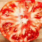 Cross-section of a ripe, juicy Red Brandywine tomato showing its meaty red flesh and seeds on a wooden surface.
