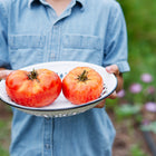 Person holding a white enameled colander filled with two fresh, red Brandywine tomatoes in a garden.