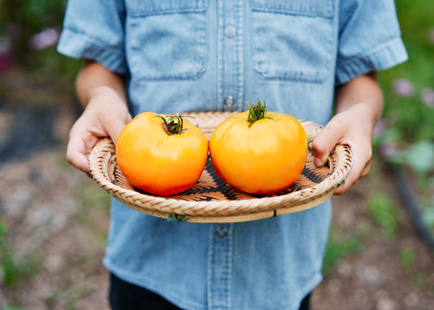 Valencia-Tomato-Seeds_Bucktown Seed Company_01