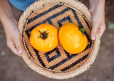 Valencia-Tomato-Seeds_Bucktown Seed Company_04