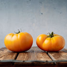 Two ripe Yellow Brandywine tomatoes with golden-orange skin resting on a rustic wooden surface.