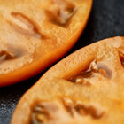 Close-up of two thick, golden-yellow slices of a Yellow Brandywine tomato showing meaty flesh and seeds.