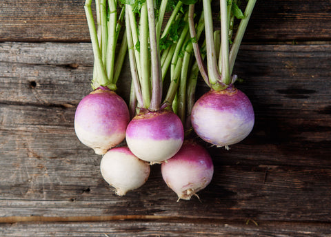 Heirloom Seeds_Turnip Purple Top White Globe_Bucktown Seed Company-01