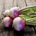 Freshly harvested Purple Top White Globe turnips with purple-shouldered roots and green tops on a rustic wooden surface.