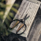 Small Barebones Walnut Garden Scissors with black blades and wooden handles resting on a weathered wooden stool.