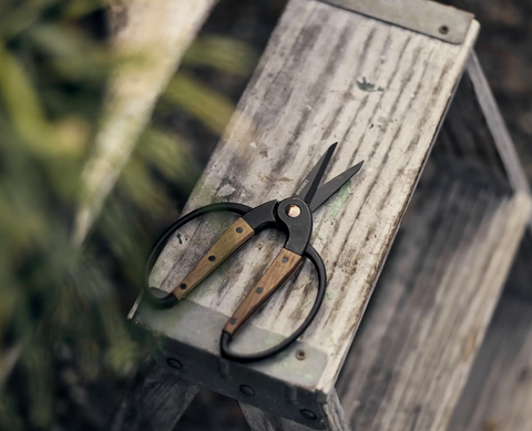Walnut Garden Scissors, Small- Barebones