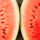 Heirloom Seeds_Watermelon_Crimson Sweet_Bucktown Seed Company-02