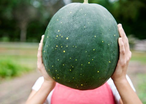 Heirloom Seeds_Watermelon_Moon & Stars_Bucktown Seed Company-03