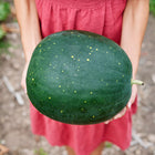 Person holding a dark green Moon and Stars watermelon with yellow speckles in a garden.