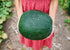 Heirloom Seeds_Watermelon_Moon & Stars_Bucktown Seed Company-01