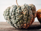 Chirimen winter squash with a deeply ribbed, warty green and buff rind resting on a rustic wooden surface.