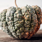 Chirimen winter squash with a deeply ribbed, warty green and buff rind resting on a rustic wooden surface.