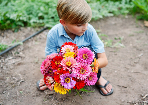 Flower Seeds_Zinnia_California Giants_Bucktown Seed Company-01