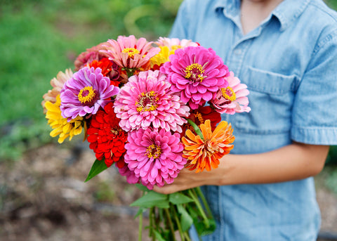 Flower Seeds_Zinnia_California Giants_Bucktown Seed Company-02