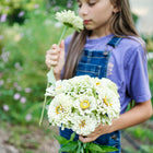 A young girl holding a bouquet of creamy white Polar Bear zinnia flowers in a garden.